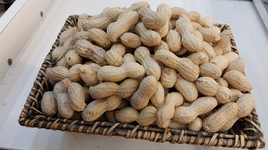 Kabuklu Fıstık (kg)