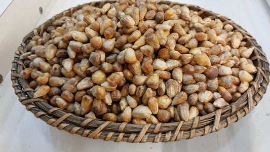 Mısır Kavurgası (kg)